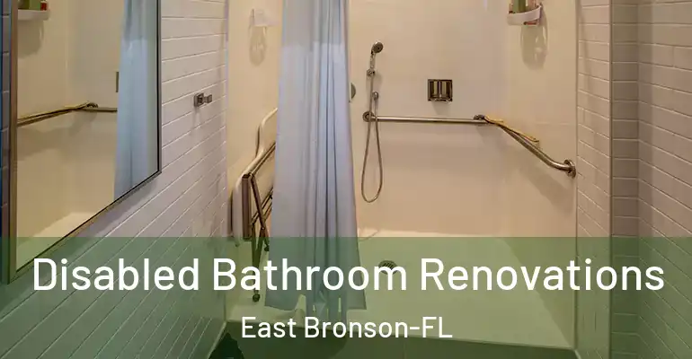 inner Bathroom imggen Disabled Bathroom Renovations East Bronson-FL