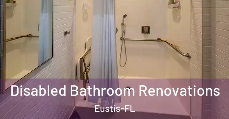 inner Bathroom imggen Disabled Bathroom Renovations Eustis-FL