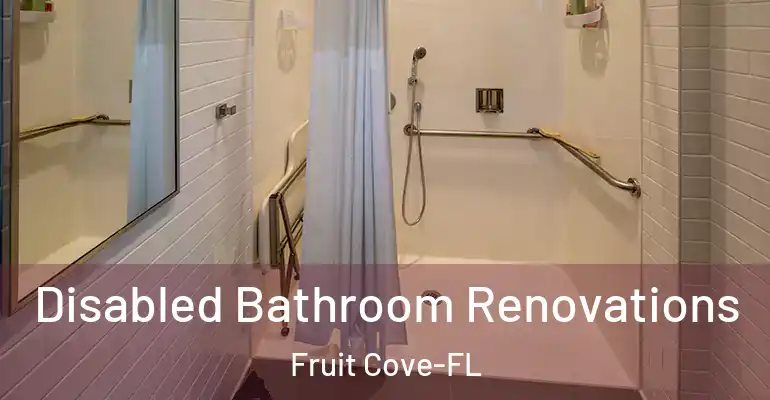 inner Bathroom imggen Disabled Bathroom Renovations Fruit Cove-FL