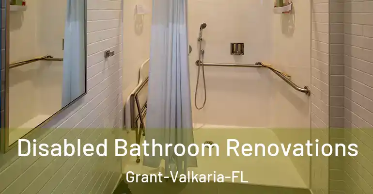 inner Bathroom imggen Disabled Bathroom Renovations Grant-Valkaria-FL