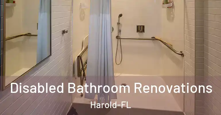 inner Bathroom imggen Disabled Bathroom Renovations Harold-FL