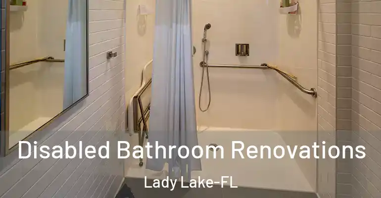 inner Bathroom imggen Disabled Bathroom Renovations Lady Lake-FL