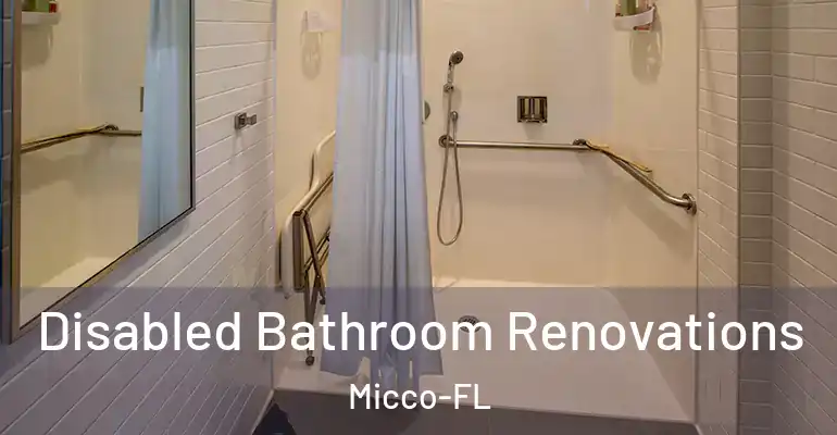 inner Bathroom imggen Disabled Bathroom Renovations Micco-FL