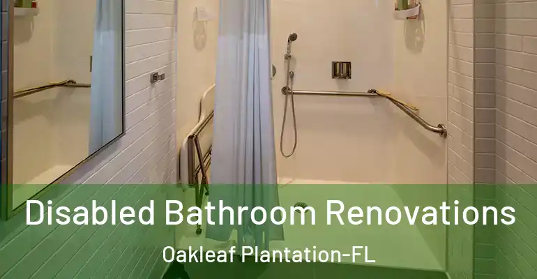 inner Bathroom imggen Disabled Bathroom Renovations Oakleaf Plantation-FL