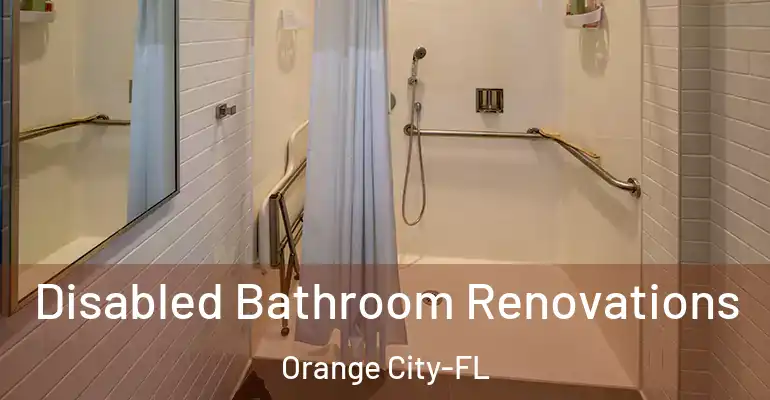 inner Bathroom imggen Disabled Bathroom Renovations Orange City-FL