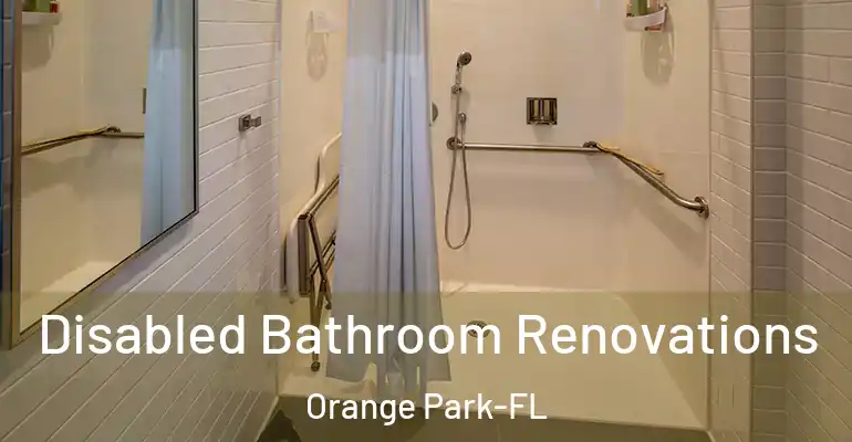 inner Bathroom imggen Disabled Bathroom Renovations Orange Park-FL