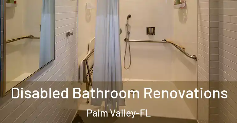 inner Bathroom imggen Disabled Bathroom Renovations Palm Valley-FL
