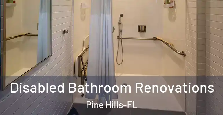 inner Bathroom imggen Disabled Bathroom Renovations Pine Hills-FL