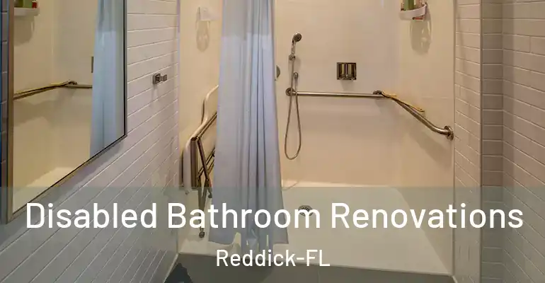 inner Bathroom imggen Disabled Bathroom Renovations Reddick-FL