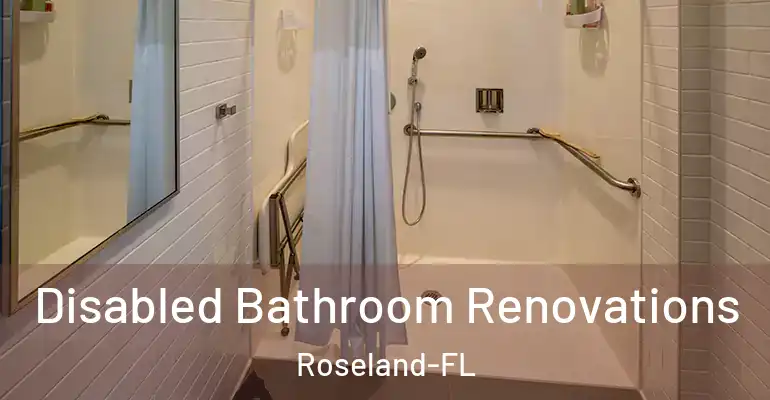 inner Bathroom imggen Disabled Bathroom Renovations Roseland-FL