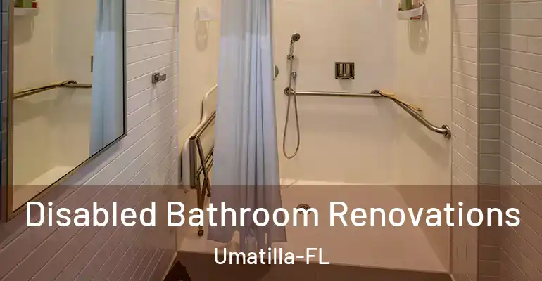 inner Bathroom imggen Disabled Bathroom Renovations Umatilla-FL