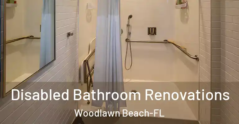 inner Bathroom imggen Disabled Bathroom Renovations Woodlawn Beach-FL