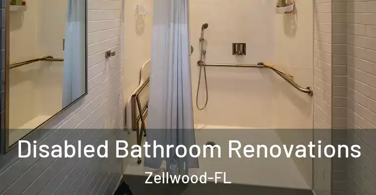 inner Bathroom imggen Disabled Bathroom Renovations Zellwood-FL
