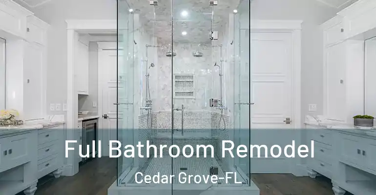 inner Bathroom imggen Full Bathroom Remodel Cedar Grove-FL