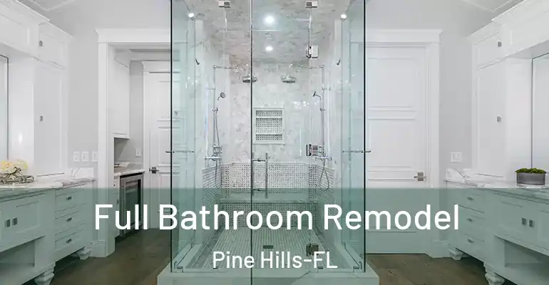 inner Bathroom imggen Full Bathroom Remodel Pine Hills-FL