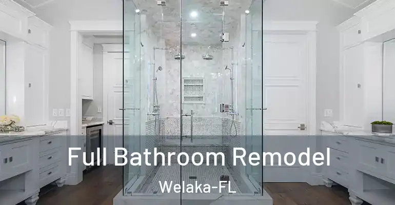 inner Bathroom imggen Full Bathroom Remodel Welaka-FL