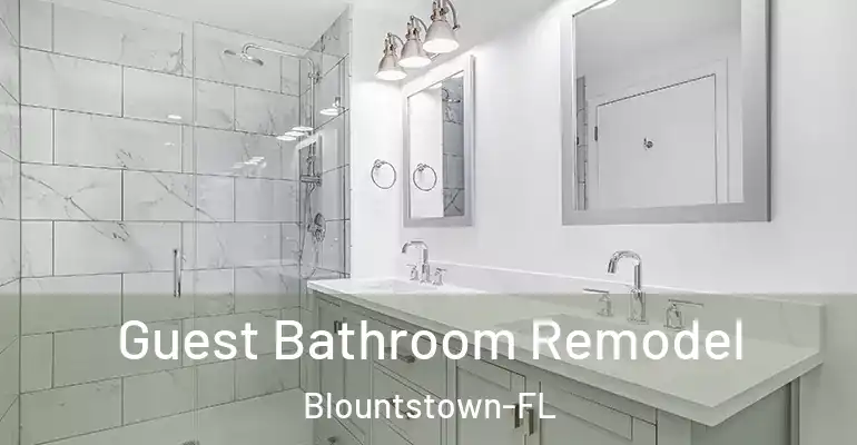 inner Bathroom imggen Guest Bathroom Remodel Blountstown-FL