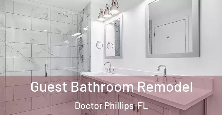 inner Bathroom imggen Guest Bathroom Remodel Doctor Phillips-FL