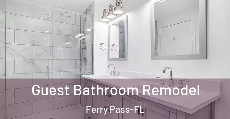 inner Bathroom imggen Guest Bathroom Remodel Ferry Pass-FL