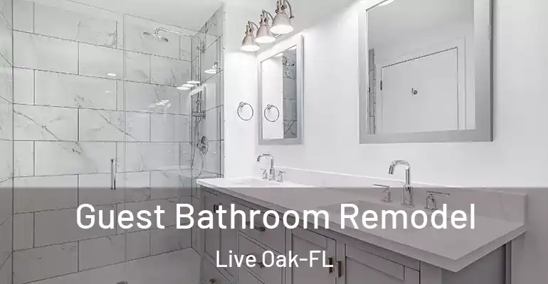 inner Bathroom imggen Guest Bathroom Remodel Live Oak-FL