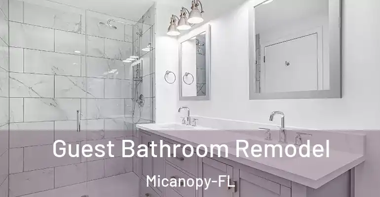 inner Bathroom imggen Guest Bathroom Remodel Micanopy-FL