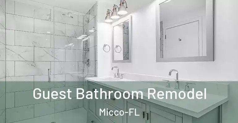 inner Bathroom imggen Guest Bathroom Remodel Micco-FL