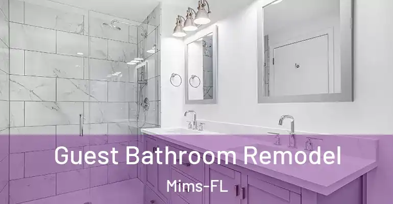 inner Bathroom imggen Guest Bathroom Remodel Mims-FL