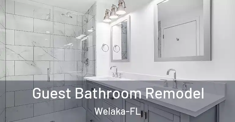 inner Bathroom imggen Guest Bathroom Remodel Welaka-FL
