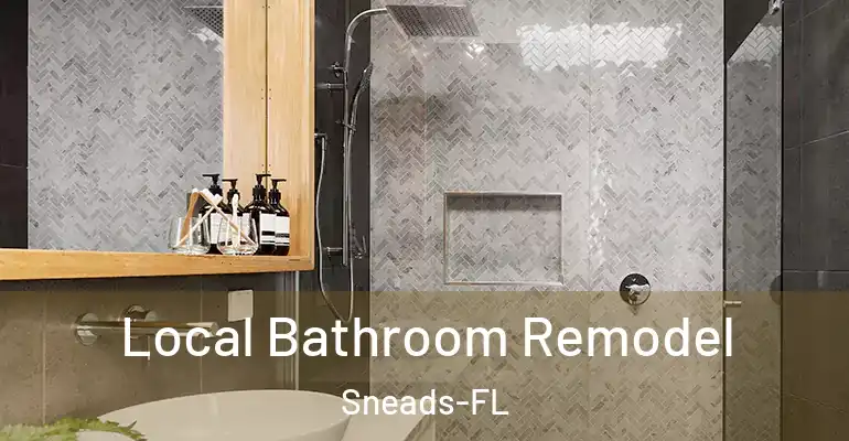 inner Bathroom imggen Local Bathroom Remodel Sneads-FL
