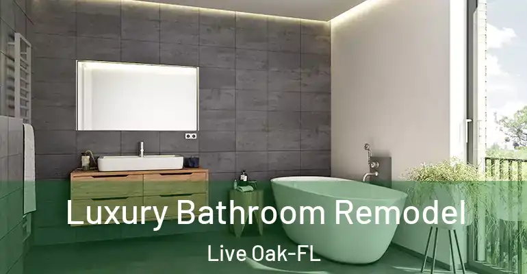 inner Bathroom imggen Luxury Bathroom Remodel Live Oak-FL