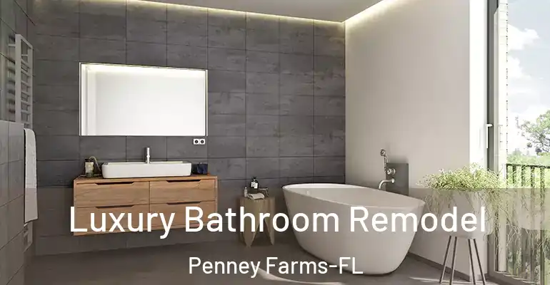 inner Bathroom imggen Luxury Bathroom Remodel Penney Farms-FL