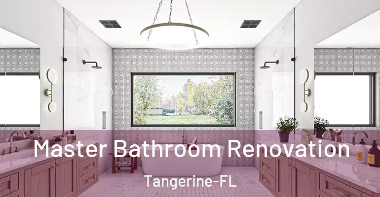 inner Bathroom imggen Master Bathroom Renovation Tangerine-FL