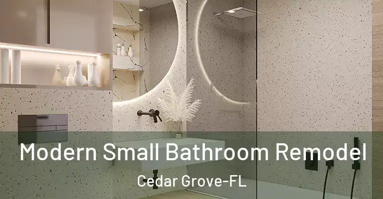 inner Bathroom imggen Modern Small Bathroom Remodel Cedar Grove-FL