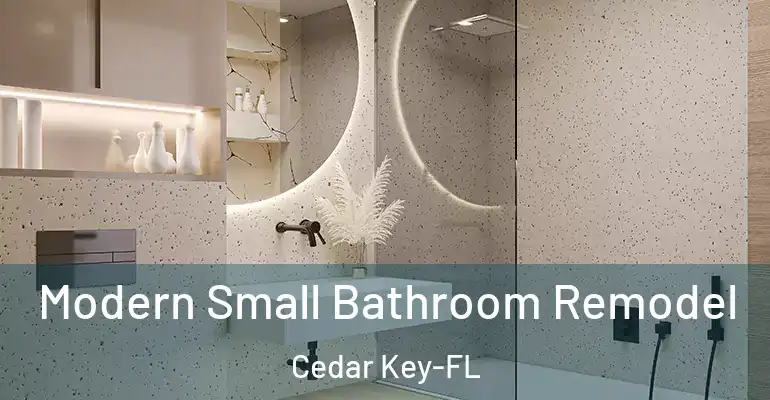 inner Bathroom imggen Modern Small Bathroom Remodel Cedar Key-FL
