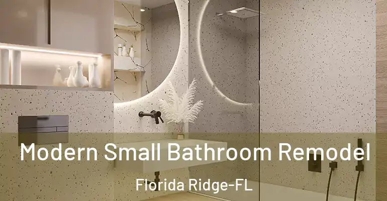 inner Bathroom imggen Modern Small Bathroom Remodel Florida Ridge-FL