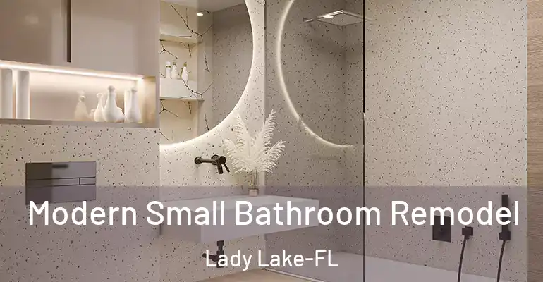 inner Bathroom imggen Modern Small Bathroom Remodel Lady Lake-FL