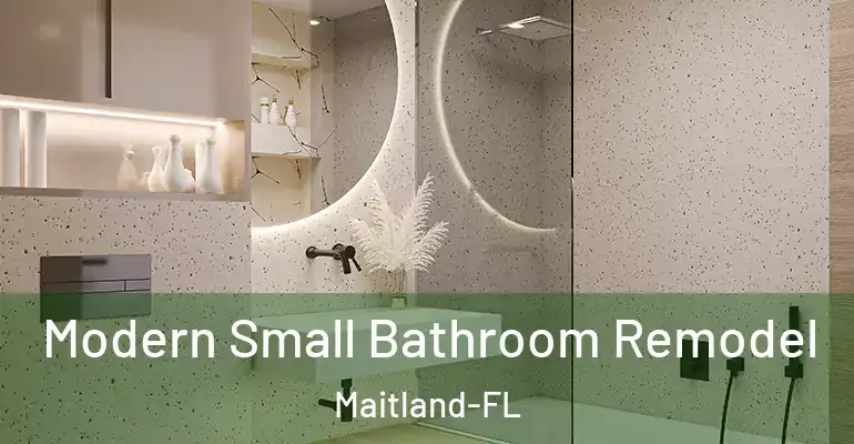 inner Bathroom imggen Modern Small Bathroom Remodel Maitland-FL