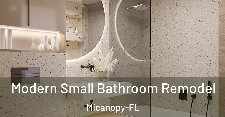inner Bathroom imggen Modern Small Bathroom Remodel Micanopy-FL