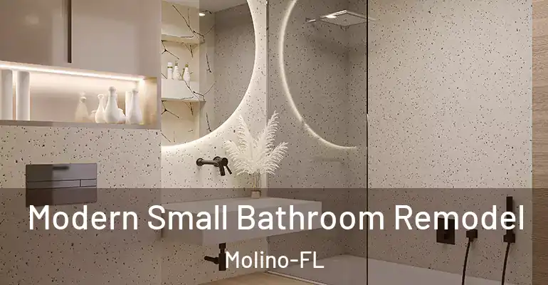 inner Bathroom imggen Modern Small Bathroom Remodel Molino-FL