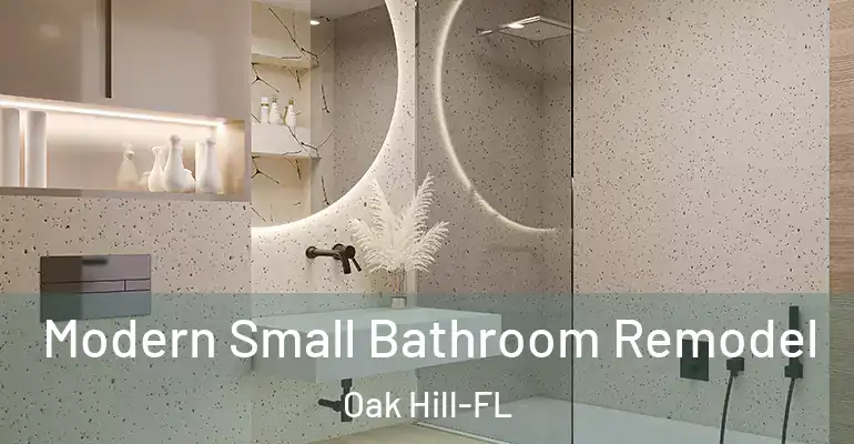 inner Bathroom imggen Modern Small Bathroom Remodel Oak Hill-FL