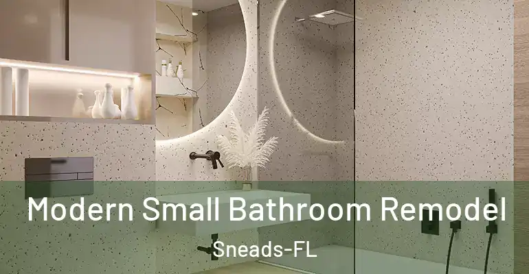 inner Bathroom imggen Modern Small Bathroom Remodel Sneads-FL