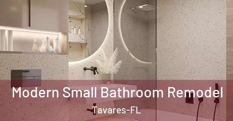 inner Bathroom imggen Modern Small Bathroom Remodel Tavares-FL