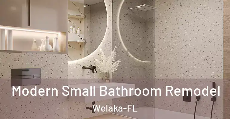 inner Bathroom imggen Modern Small Bathroom Remodel Welaka-FL