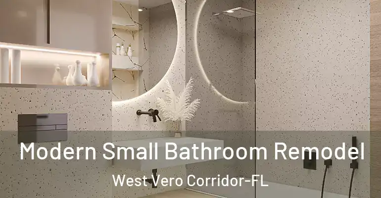 inner Bathroom imggen Modern Small Bathroom Remodel West Vero Corridor-FL