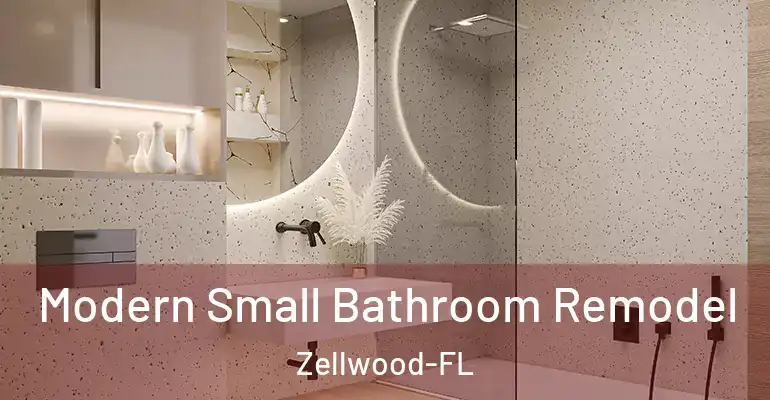 inner Bathroom imggen Modern Small Bathroom Remodel Zellwood-FL