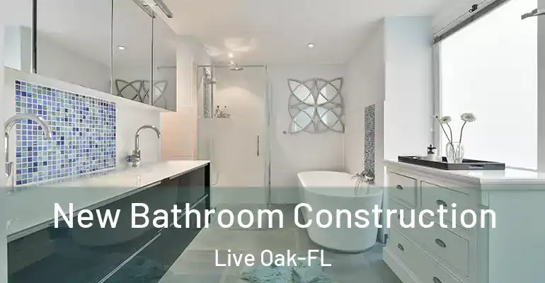 inner Bathroom imggen New Bathroom Construction Live Oak-FL