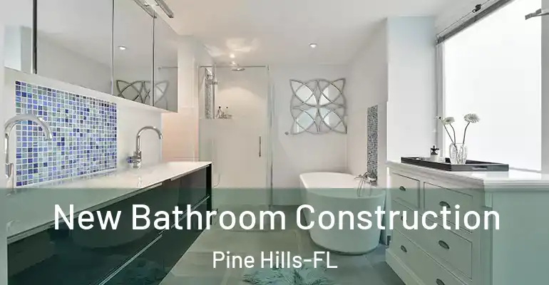 inner Bathroom imggen New Bathroom Construction Pine Hills-FL