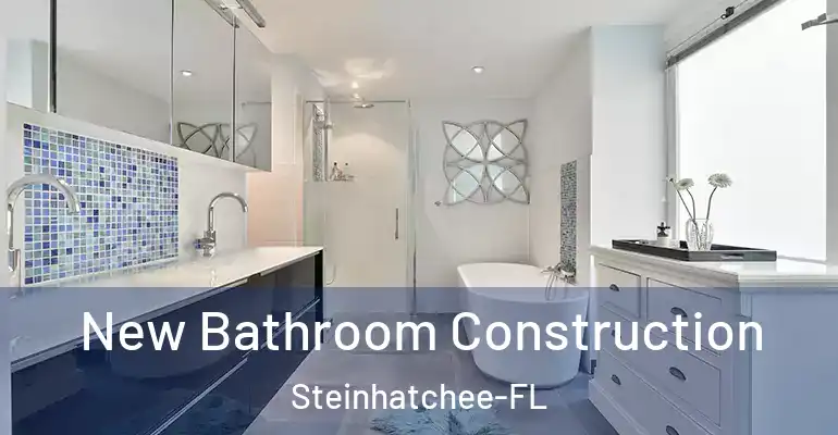 inner Bathroom imggen New Bathroom Construction Steinhatchee-FL