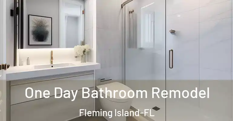 inner Bathroom imggen One Day Bathroom Remodel Fleming Island-FL