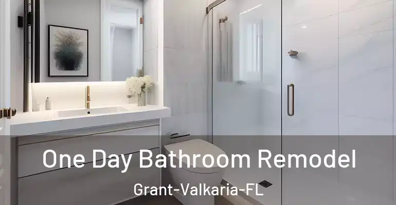 inner Bathroom imggen One Day Bathroom Remodel Grant-Valkaria-FL